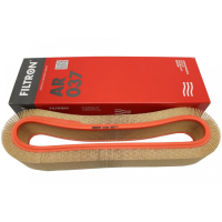 Воздушный фильтр Filtron AR 037